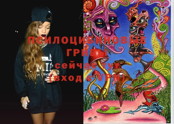 спайс Кукмор