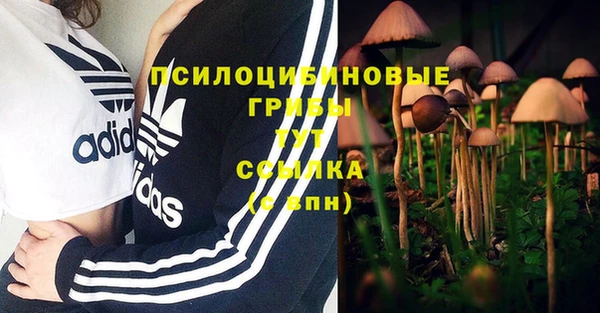 гашишное масло Куйбышев