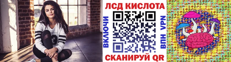 Купить закладки  Прохладный  Марки N-bome 1,8мг 